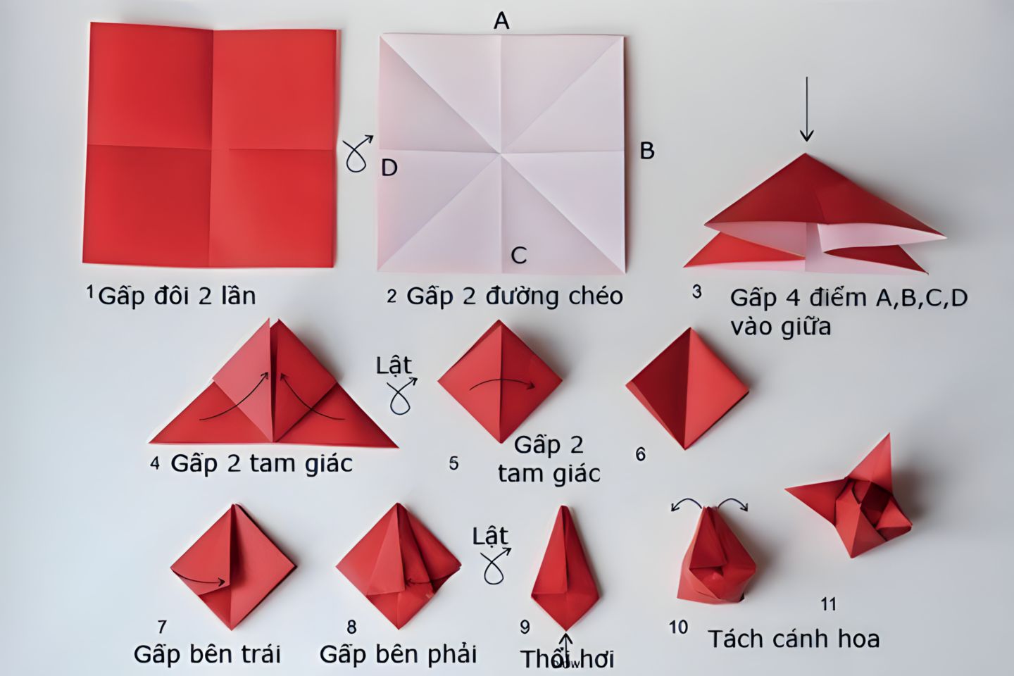 Các bước gấp một bông hoa Tulip đơn giản và dễ học